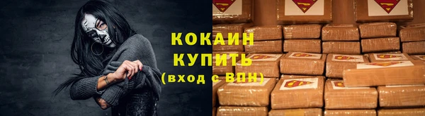 твердый Богородицк