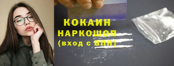 твердый Богородицк