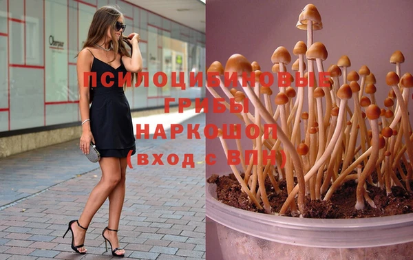 марки nbome Богданович