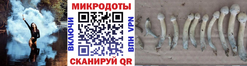 Галлюциногенные грибы мухоморы  Бокситогорск 